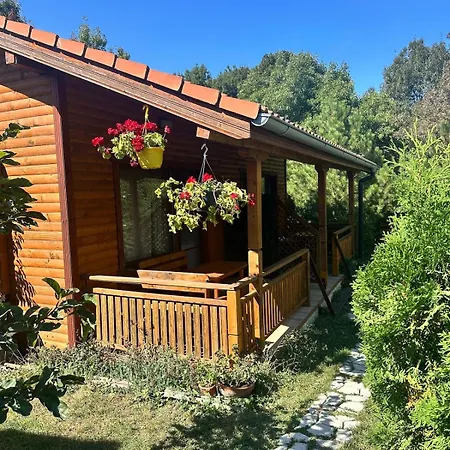 Дом отдыха гнездото The Nest 2 Лозенец