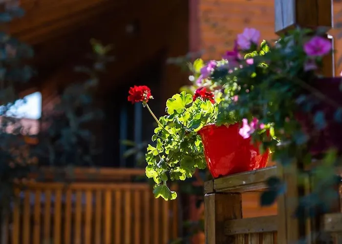 度假居 гнездото The Nest 2 *